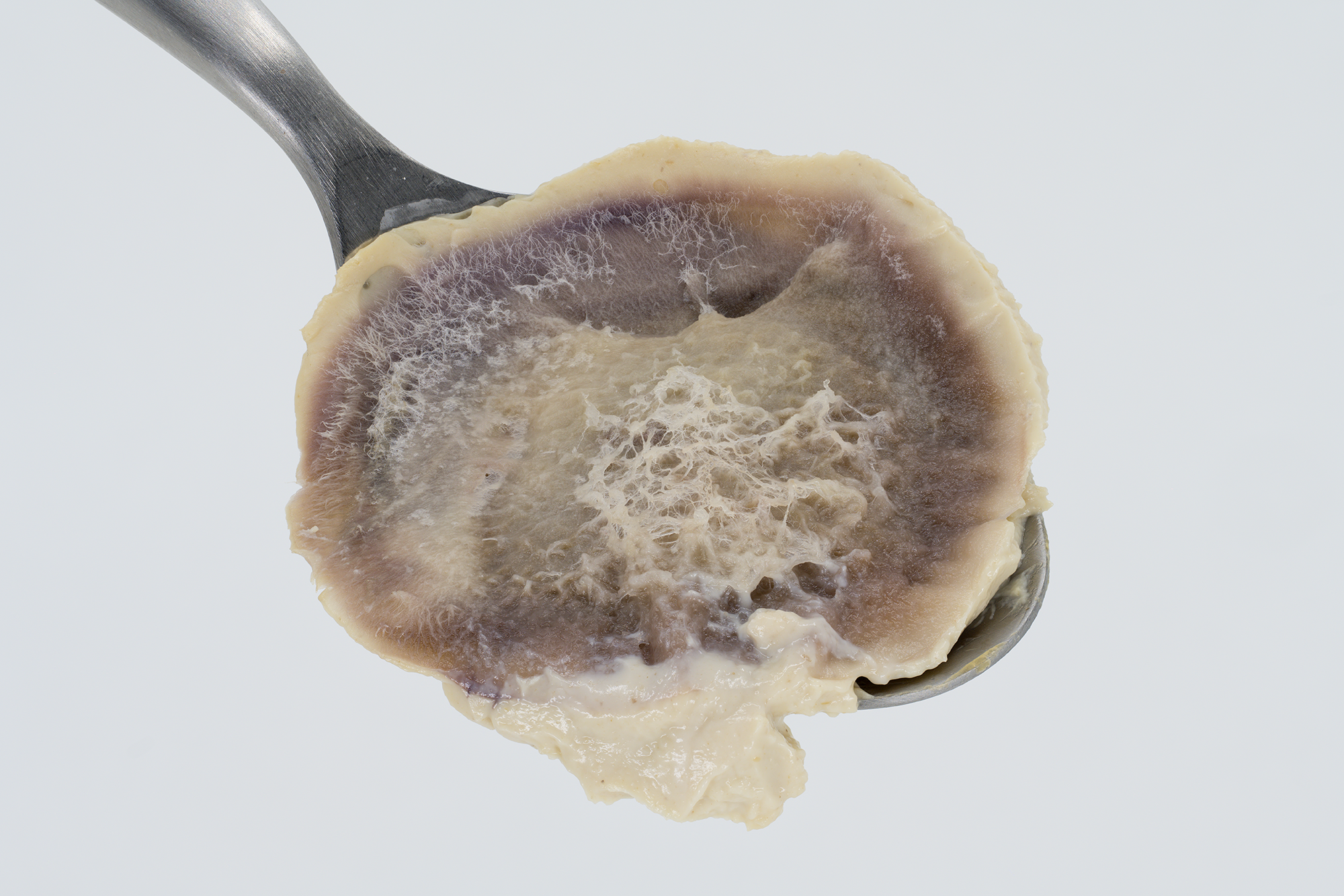 Spoon with mold